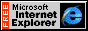 explorer icon.gif (994 bytes)